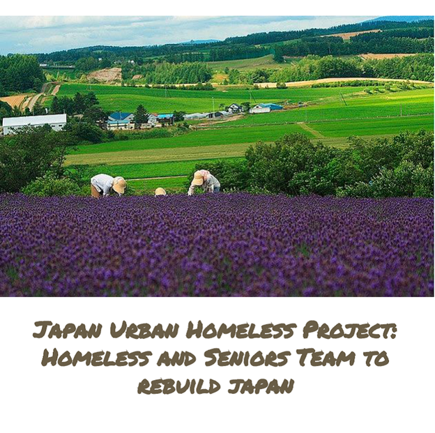 Cover image for Japan Urban Homeless Project showing agricultural field and rural landscape in Japan